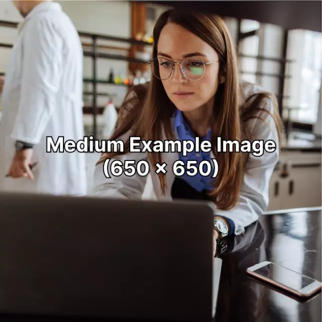 Medium Example Image (650px x 650px)