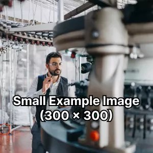 Small Example Image