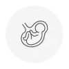 Baby in a womb icon